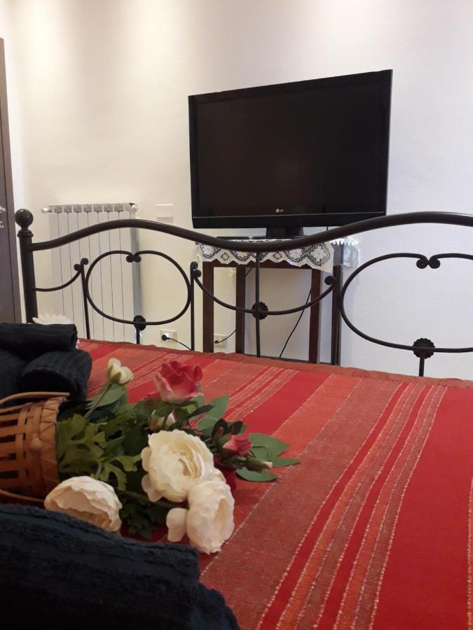 La Chicca Apartment Pisa Exterior photo
